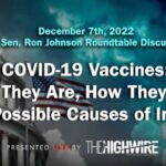 Covid-19 Vaccines: What They Are, How They Work, and Possible Causes of Injuries
